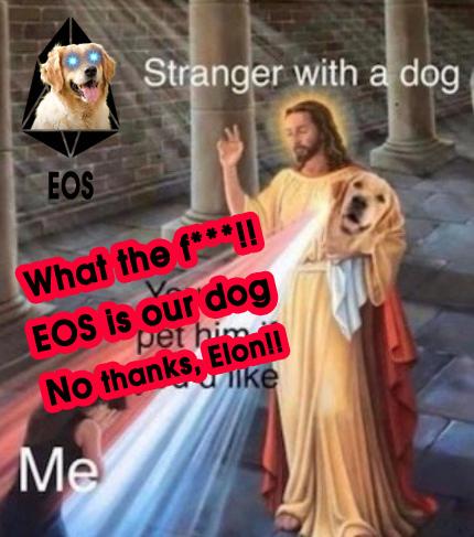 eos is my dog!!.jpg