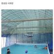 집 마당에 수영장 만든 디시인
