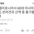미국에서 또 아시안계여성 살해당함