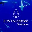 EOS Foundation ( 이오스 재단 ) 의 시작을 알리는 계정 생성이 시작되었습니다.