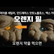 비트코인 약을 먹고 진실에 눈을 뜰까 파란 약을 먹고 계속 개돼지로 살까
