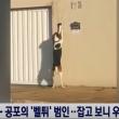 공포의 벨튀 범인