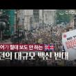 코로나가 대 사기극인 이유