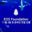 EOS 재단 11월 3일 첫 온라인 밋업 진행