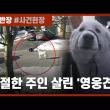 쓰러진 주인 살린 반려견