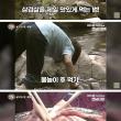80년대, 삼겹살을 본격적으로 먹기 시작하던때 한국 분위기