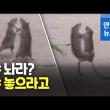 뉴욕에사는 쥐는 클라스가 다르네