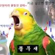 암호화폐 500만원으로 1억 만드는 방법