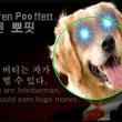 뽀핏은 말했다..